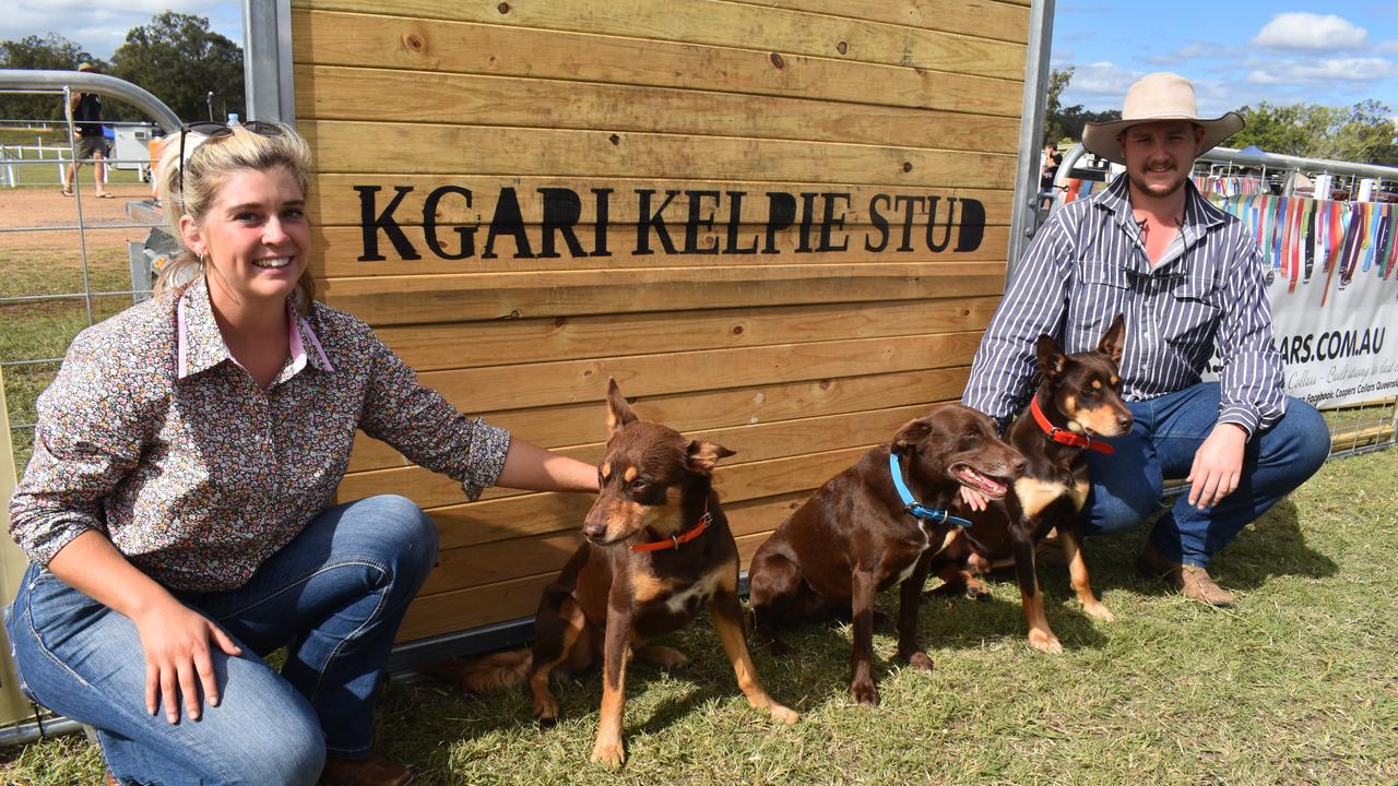 (L) Courtney Marshall and Jack Morris from K'Gari Kelpie Stud with their K'Gari Kelpie jumping dogs Annie, Coupah and Roy who performed at the Fraser Coast Ag Show. Photo: Stuart Fast