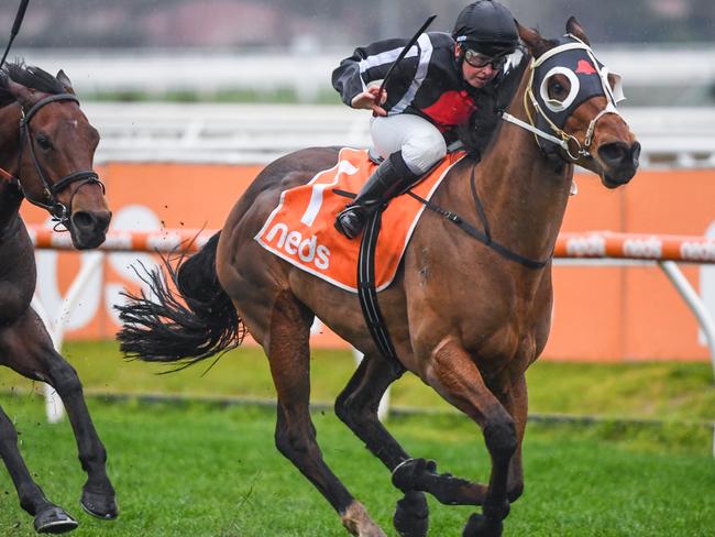 Jungle Edge takes out the Group 3 Sir John Monash Stakes at Caulfield.