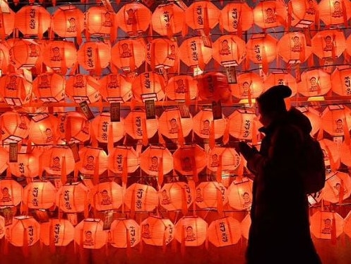 A Buddhist follower prays in front of lotus lanterns during celebrations for the New Year at Jogye temple in central Seoul. Picture: AFP/Getty Images