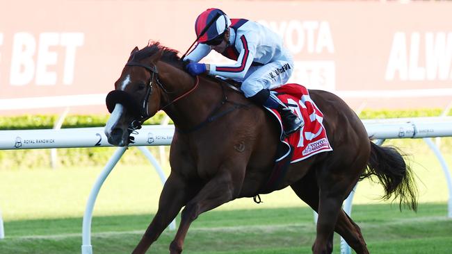 Tintookie winning at Randwick.