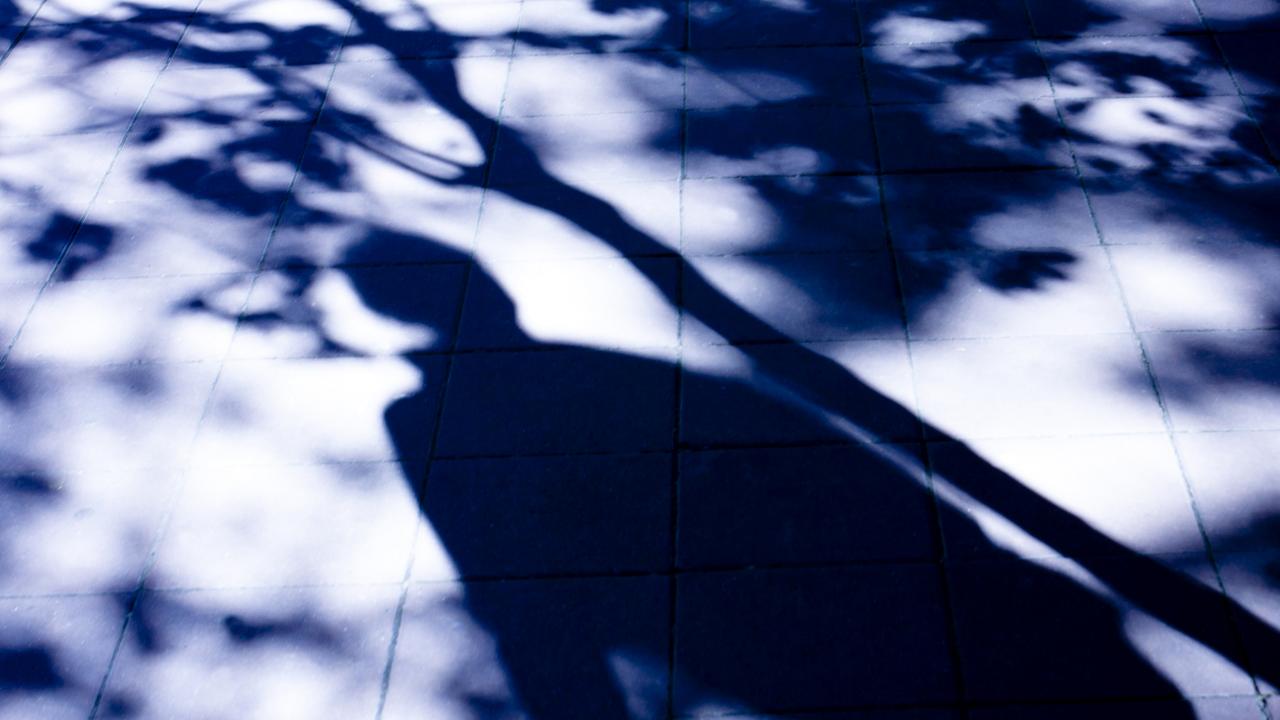 How prolific child predator infiltrated home to abuse disabled daughter