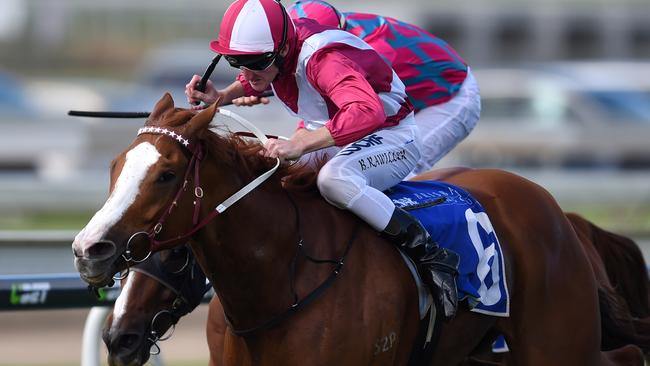 Looks a good prospect again: Jockey Brad Rawiller drives Real Love to victory in the JRA Cup at Doomben. Picture: AAP