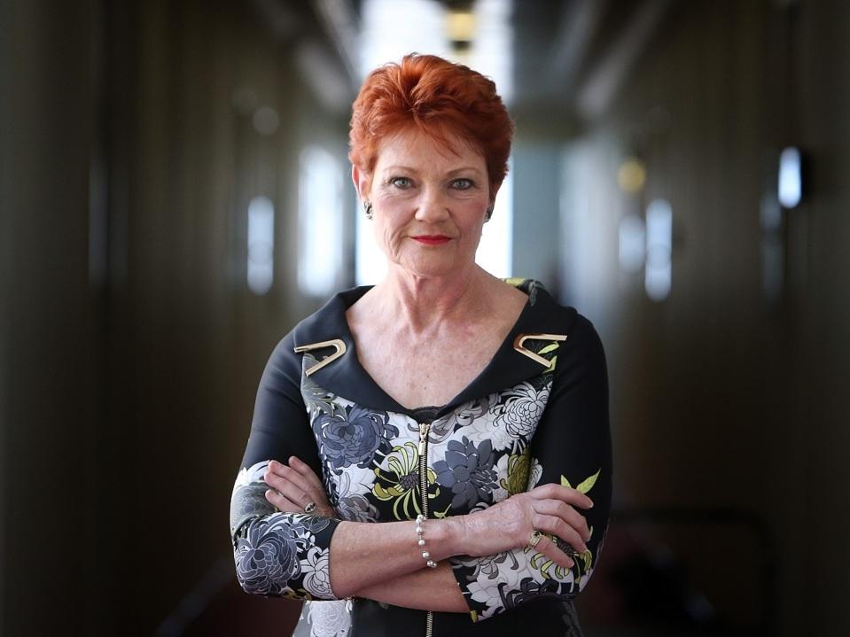 'Let's just stop it': Pauline Hanson calls on the government to ban foreign investment