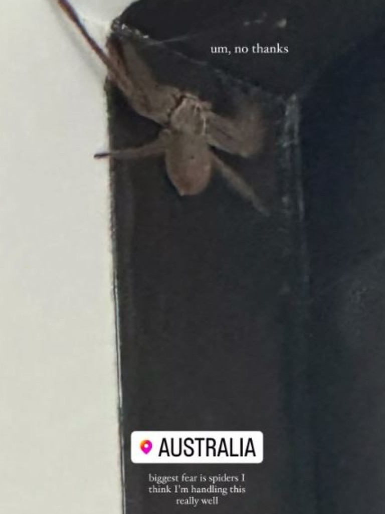 Kardashian encounters a spider in Australia.