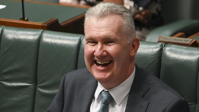 A jubilant Workplace Relations Minister Tony Burke in question time on Wednesday. Picture: NCA NewsWire / Martin Ollman