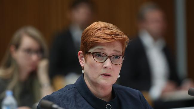 Foreign Minister Senator Marise Payne. Picture Kym Smith