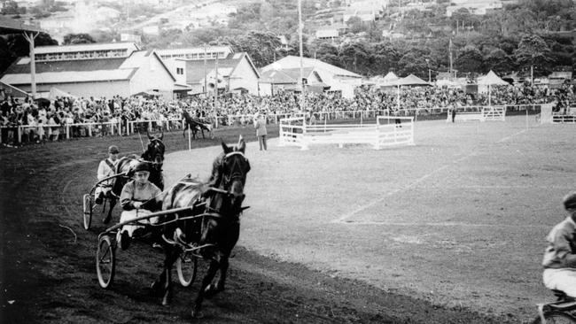 Trotting at Brookvale Oval. Picture Northern Beaches Library