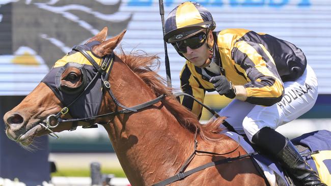 Brenton Avdulla has some good chances at Hawkesbury on Thursday. Picture: Getty Images