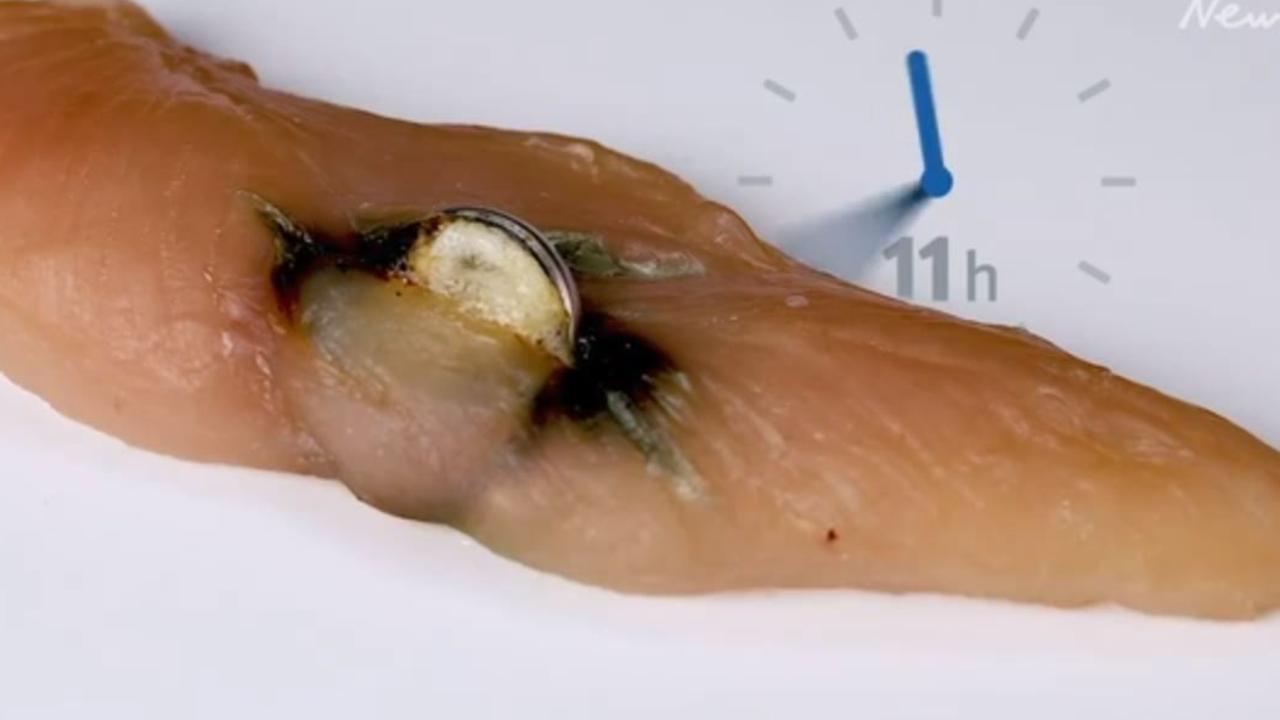 Qld Health video showing how quickly button batteries can cause harm. Pictured: 11 hrs damage to a chicken fillet.