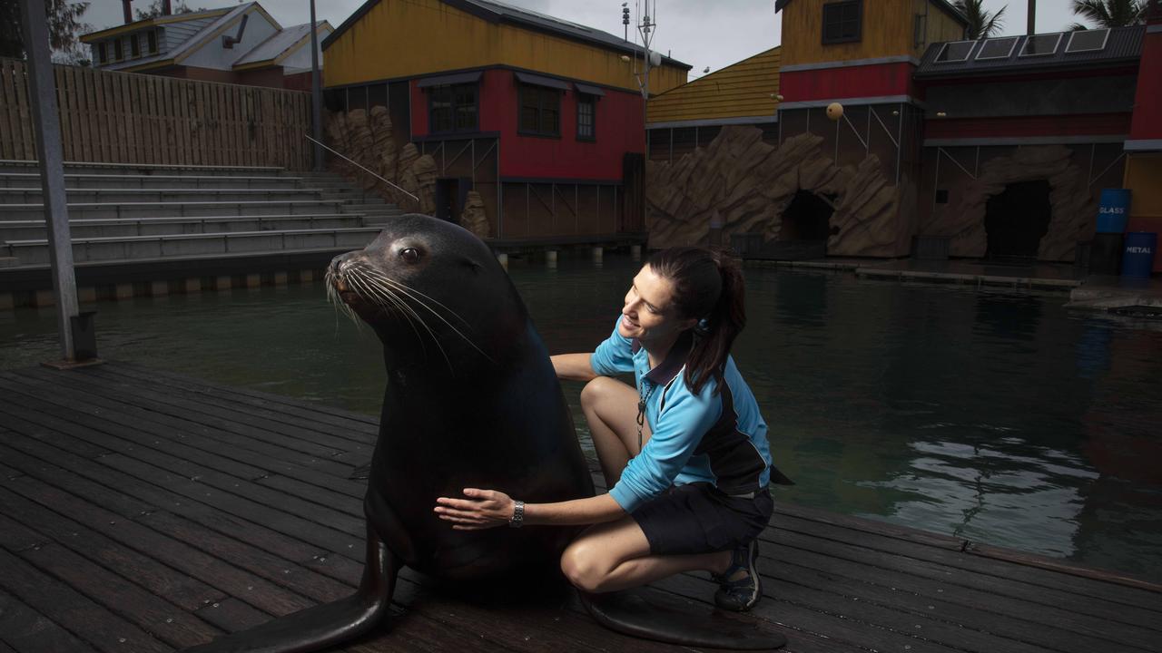Boston seals the deal as Sea World welcomes crowds | The Australian