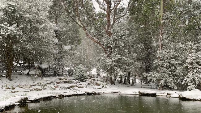 Snow falling thick and fast in Fern Tree, in Hobart, Tasmania on August 4, 2020. Picture: Iain Kelly