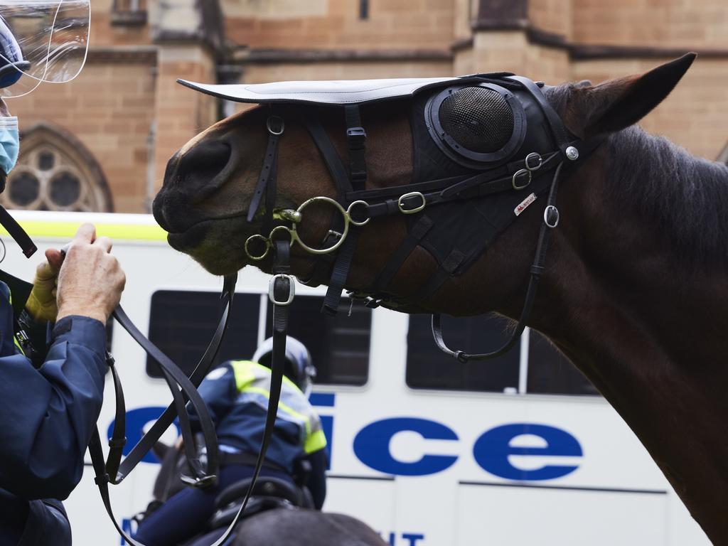 A man has been charged after he allegedly threatened to harm NSW Police horses. Picture: Brook Mitchell/Getty Images