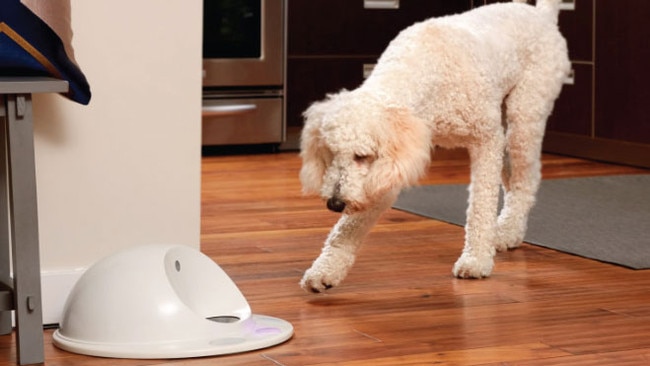 CleverPet is an internet-connected feeding device that requires your dog to activate large buttons or pads.