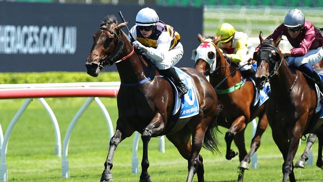 SYDNEY, AUSTRALIA - JANUARY 04: Winona Costin riding Perfumist win Race 5 Captivant @ Kia Ora during Sydney Racing at Royal Randwick Racecourse on January 04, 2025 in Sydney, Australia. (Photo by Jeremy Ng/Getty Images)