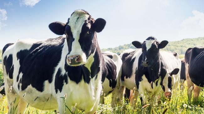 Dairy farmers are struggling to rebuild equity and confidence.