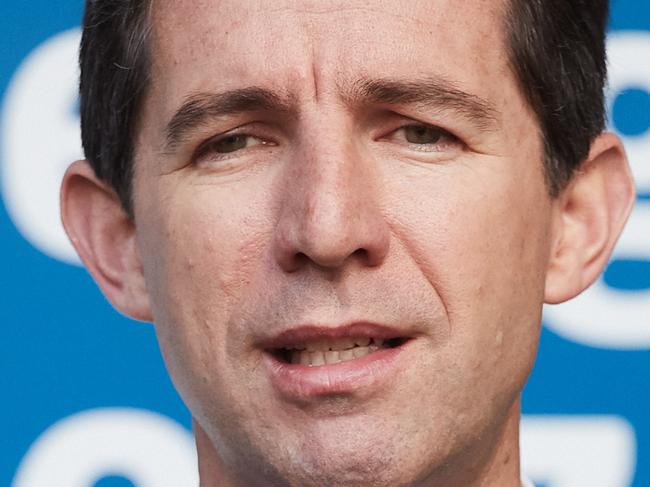 Senator Simon Birmingham talks to the press outside the Space Conference at the Adelaide Convention Centre in Adelaide, Monday, Sept. 25, 2017. (AAP Image/MATT LOXTON)