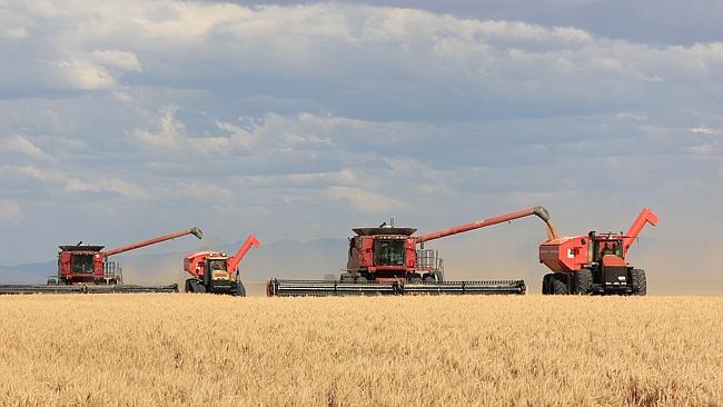 Big: Boolcarrol and Milton Downs properties during harvest.