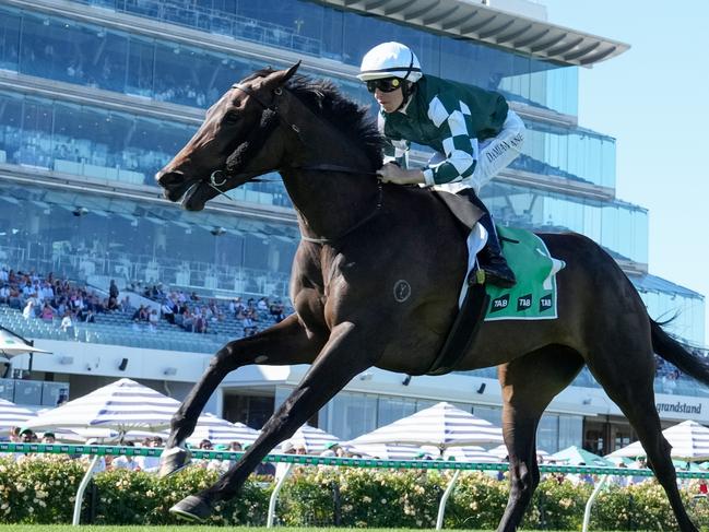 Treasurethe Moment ridden by Damian Lane wins the TAB & World Pool Kewney Stakes at Flemington Racecourse on March 08, 2025 in Flemington, Australia. (Photo by George Sal/Racing Photos via Getty Images)