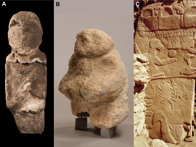 Anthropomorphic (humanoid) depictions from Göbekli Tepe. (A) An intentionally decapitated human statue (height, 60cm). (B) A gift bearer holds in his hands a human head (height, 26cm). (C) Pillar 43 (building D) with low relief of an ithyphallic headless individual, one arm raised (bottom right). Pictures: Göbekli Tepe Archive, DAI