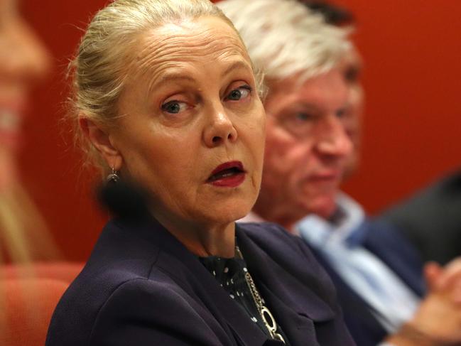 Inquiry into Youth JusticeReform in Queensland at Brisbane Parliament - Ms Sandy Bolton MP, Member for Noosa (Chair) Brisbane Thursday 23rd November 2023 Picture David Clark