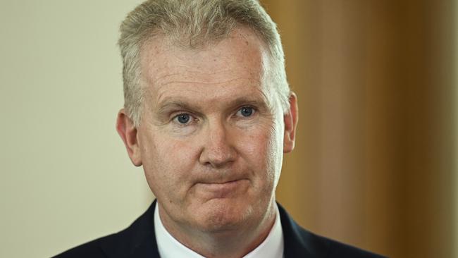 Federal Arts Minister Tony Burke. Picture: NCA NewsWire / Martin Ollman