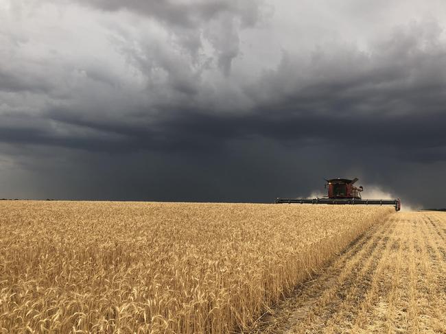 WARNING. WEEKEND TELEGRAPHS SPECIAL.  MUST TALK WITH PIC ED JEFF DARMANIN BEFORE PUBLISHING.      Rainbow crop farmer Rob Heinrich had to race again the rain to finish his harvest, but could not finish before the storm broke. Picture: Caleb Heinrich
