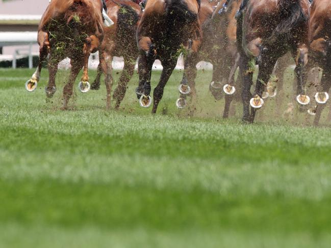 Horse racing gen pic istock