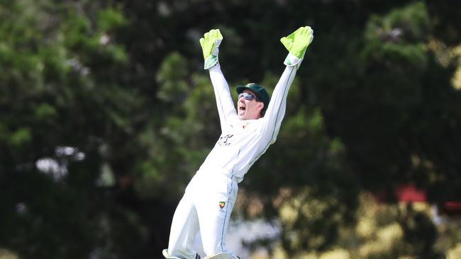 Former Australian cricket Test captain Tim Paine had already been back playing in the second XI last year. Picture Nikki Davis-Jones