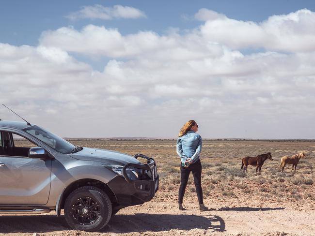 Wild horses along the Birdsville Track.