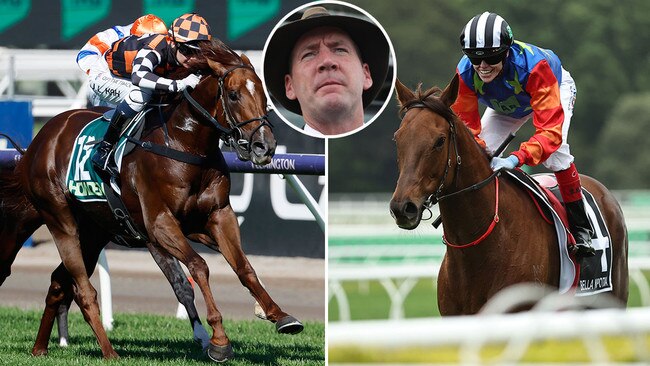 Trainer Ciaron Maher (inset) has a chance for more big-race riches on Saturday with Southport Tycoon (left) and Bella Nipotina.