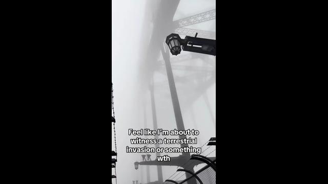Thick fog blankets Sydney
