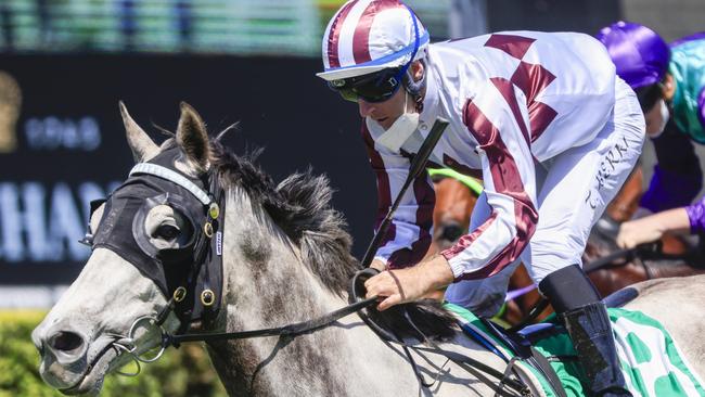 Tommy Berry (pictured) partners Beep Test for trainer John O’Shea. Picture: Getty Images
