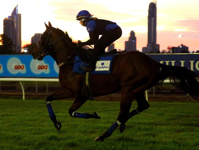 Early morning track work at the Gold Coast Turf Club - Godolphin stable horse Hauraki ridden by Helen Smith Photo: David Clark