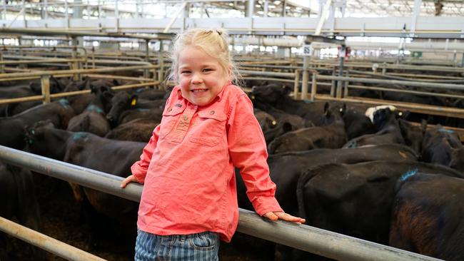 Billie Mae, 4, from Oxley Flats, browsed the cattle with her mum Sam at Wangaratta on Friday. Picture: Rachel Simmonds