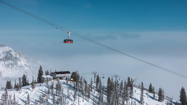 We head straight up on the legendary aerial tram known as “Big Red”, which takes us to the top in nine minutes.