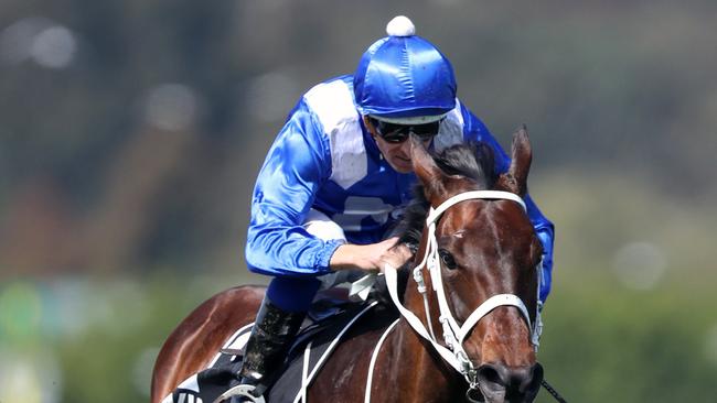 Jockey Hugh Bowman with mare Winx at the Turnbull Stakes Day at Flemington Racecourse. Picture: Alex Coppel.