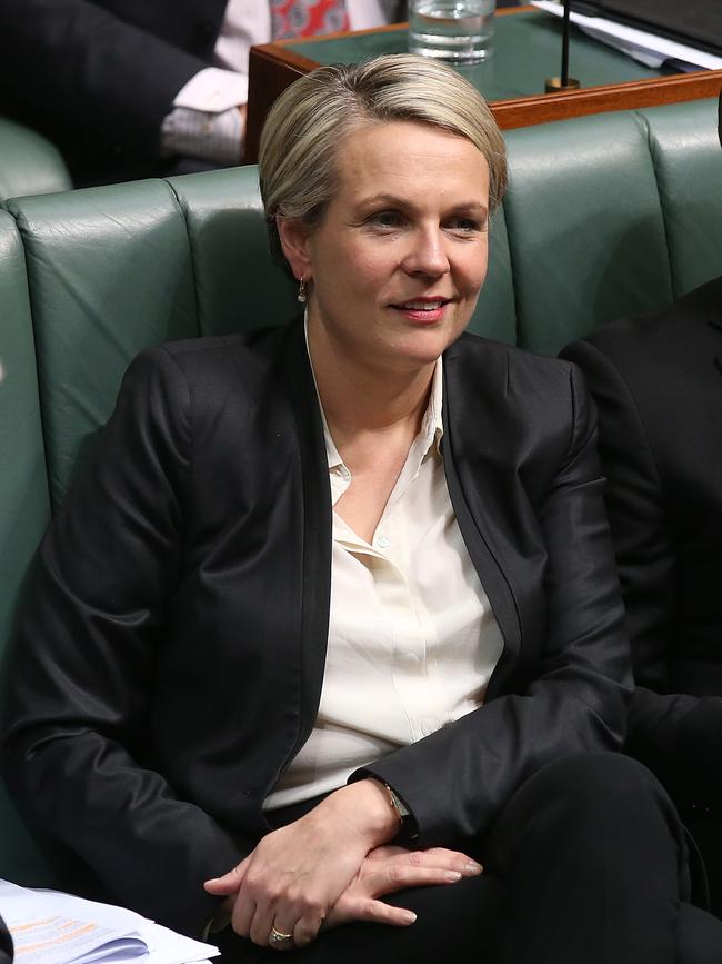 Tanya Plibersek, could be our next Deputy Prime Minister if Labor wins power. Picture Kym Smith