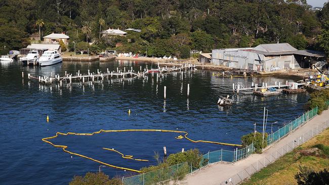 Berry's Bay in Waverton. Picture: Danny Aarons