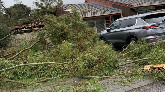 Picture showing storm damage after tornado ripped through Salisbury on May 30. Picture: Nishu Butel