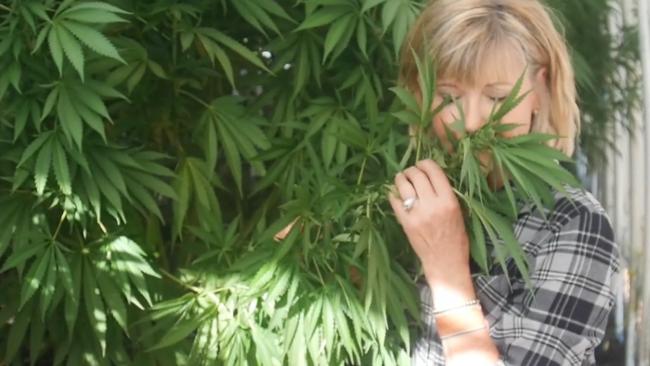 Olivia Newton-John inspects a cannabis plant in her Californian greenhouse. Pic: Supplied