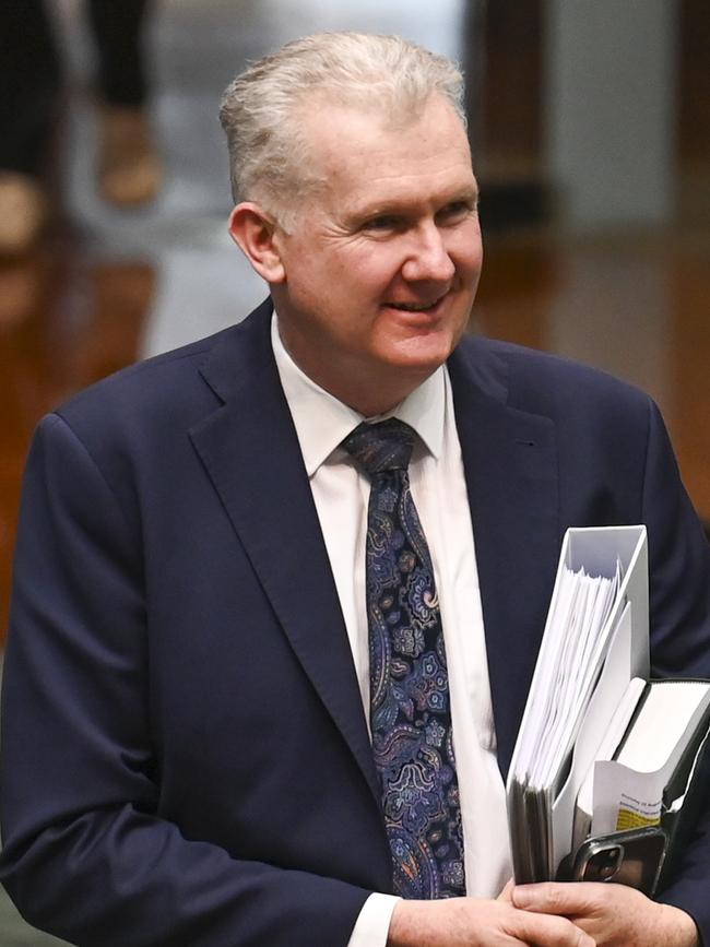 Home Affairs and Immigration Minister Tony Burke. Picture: NewsWire / Martin Ollman