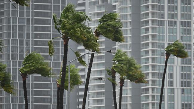 Palms trees in strong winds on the Gold Coast. Picture: Lyndon Mechielsen/The Australian