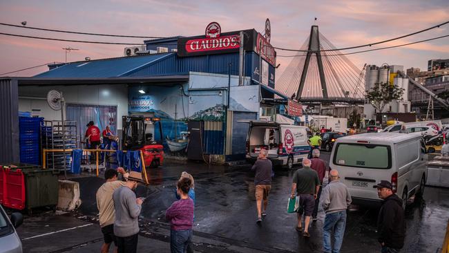 Chaotic beauty... Sydney’s fish markets.