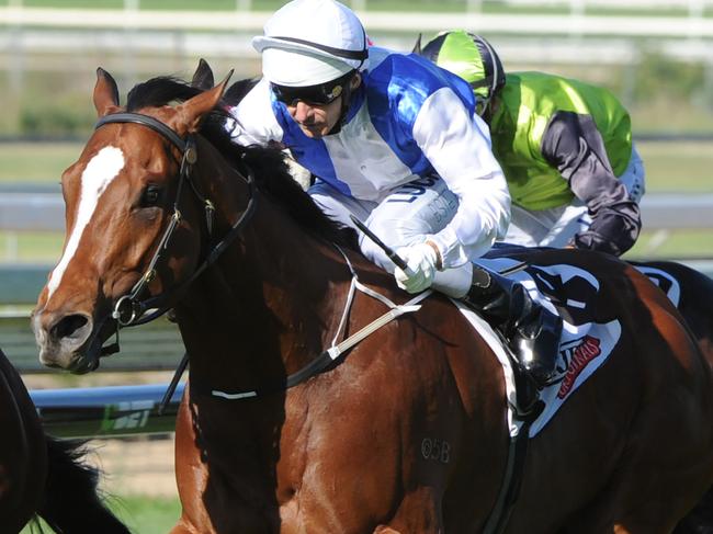 Brad Stewart winning on Trubia from a wide gate. Picture: Grant Peters, Trackside Photography