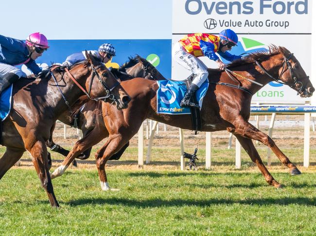 Rah Rah Rasputin ridden by Brad Rawiller wins the Sportsbet Take A Sec Before You Bet Maiden Plate at Wangaratta Racecourse on July 06, 2024 in Wangaratta, Australia. (Photo by Jay Town/Racing Photos via Getty Images)