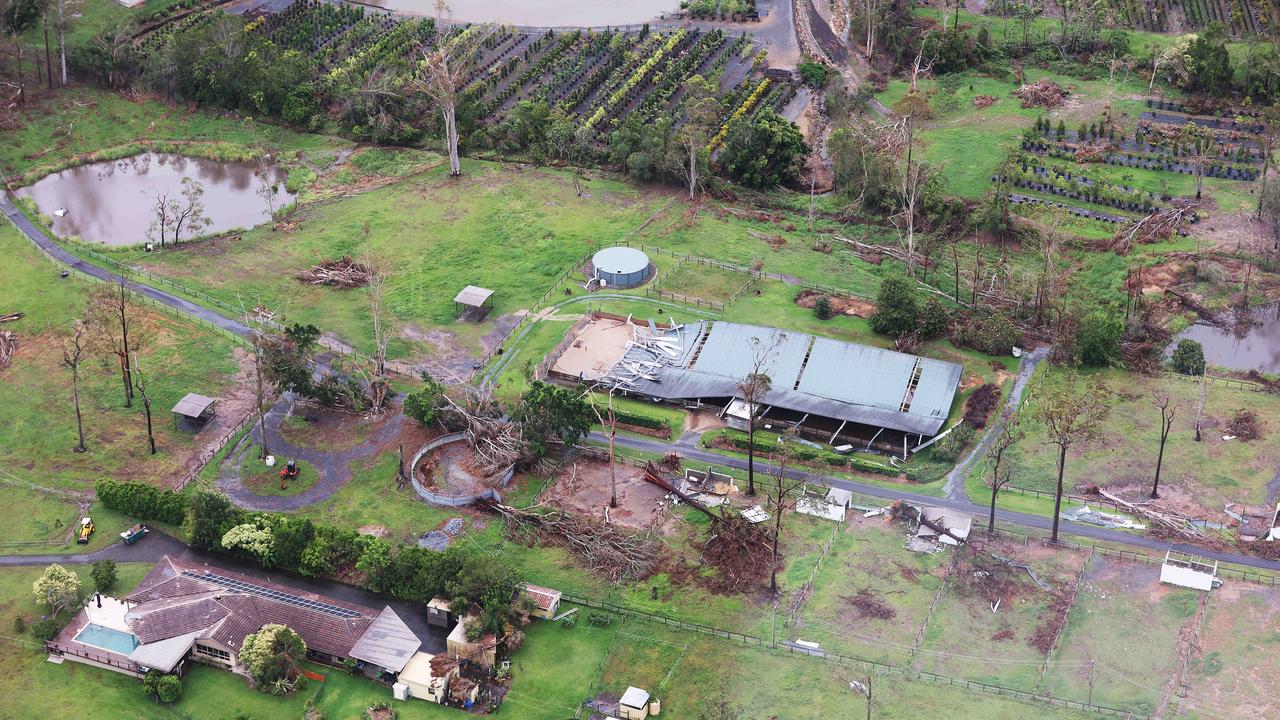 Hundreds of trees have been uprooted across the region. Pic Annette Dew