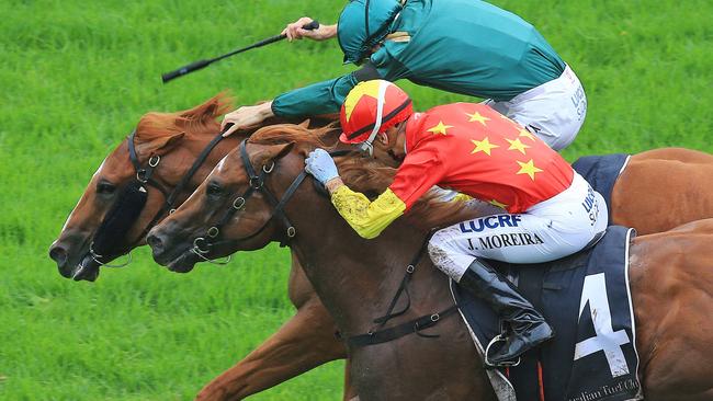Gunnison edged out stablemate Invader to win the Todman Stakes. Picture: Jenny Evans