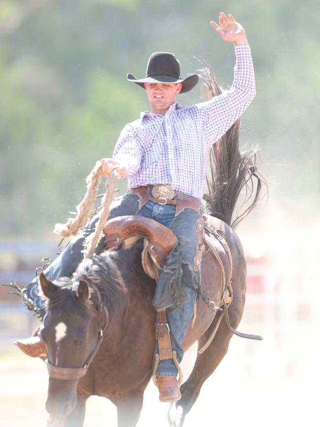 Saddle bronc action at the rodeo.