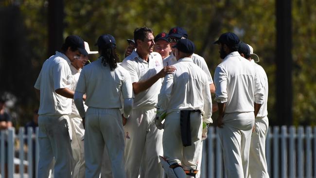 Dandenong celebrates a wicket during its grand final win over Fitzroy Doncaster.