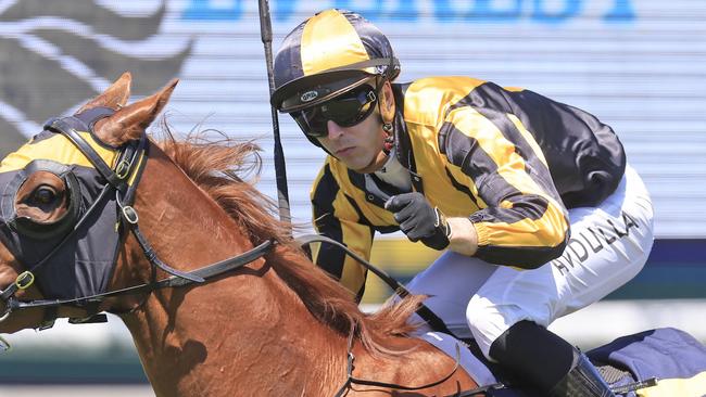 Brenton Avdulla combines with Rockribbed on Friday night. Picture: Getty Images